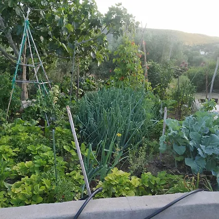 Maison d'hôtes Agros *